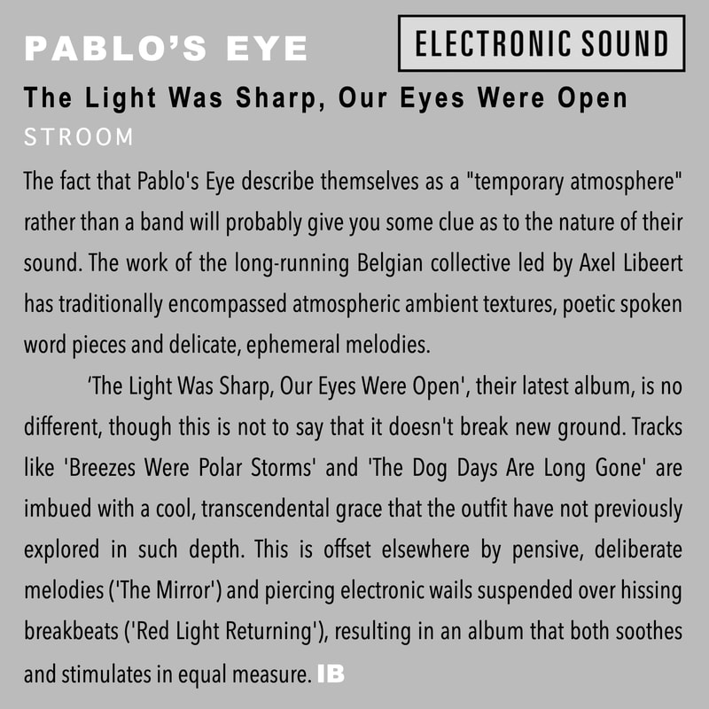 Electronic Sound Review - Pablo's Eye: The light was sharp, our eyes were open