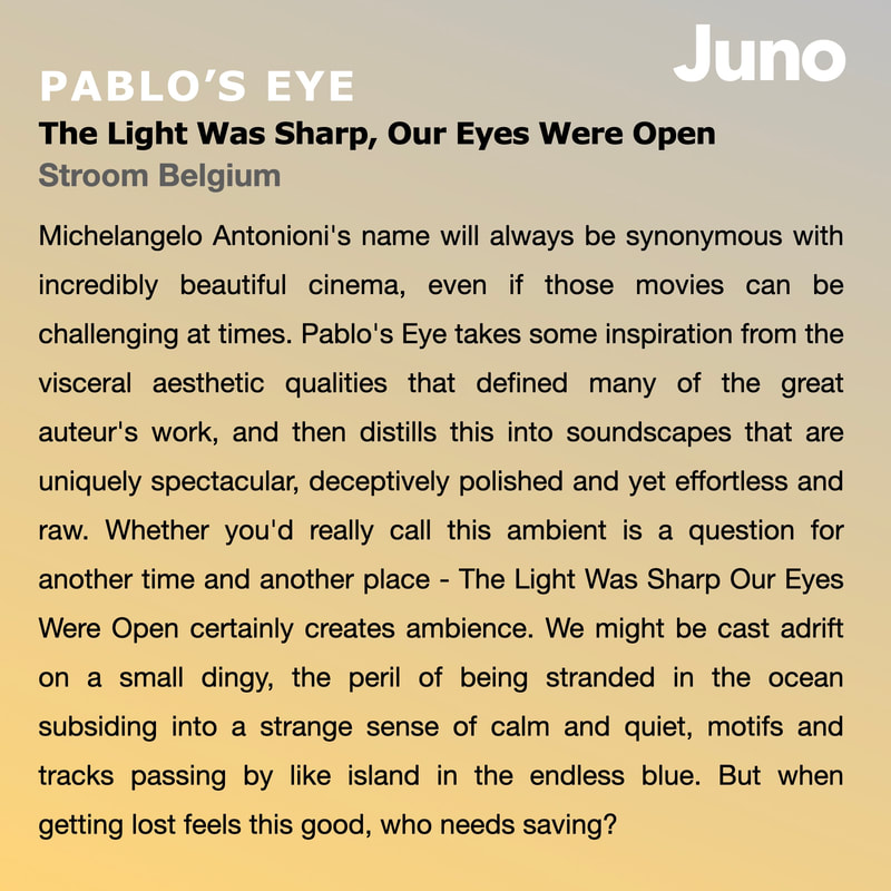 Juno Records review : Pablo's Eye - 