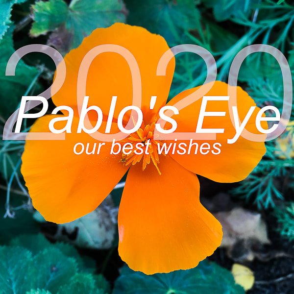 Pablo's Eye best wishes 2020