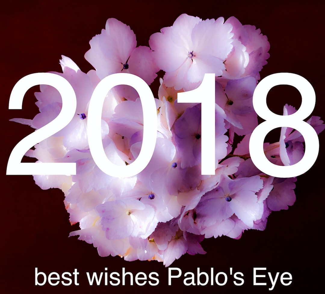 Best Wishes 2018/ Pablo's Eye